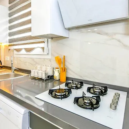 Vilă 4 Bedroom